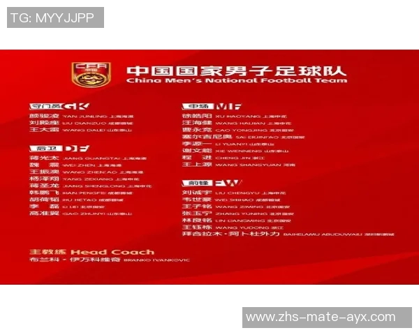 回顾历届国足队员名单与他们的辉煌成就与遗憾瞬间